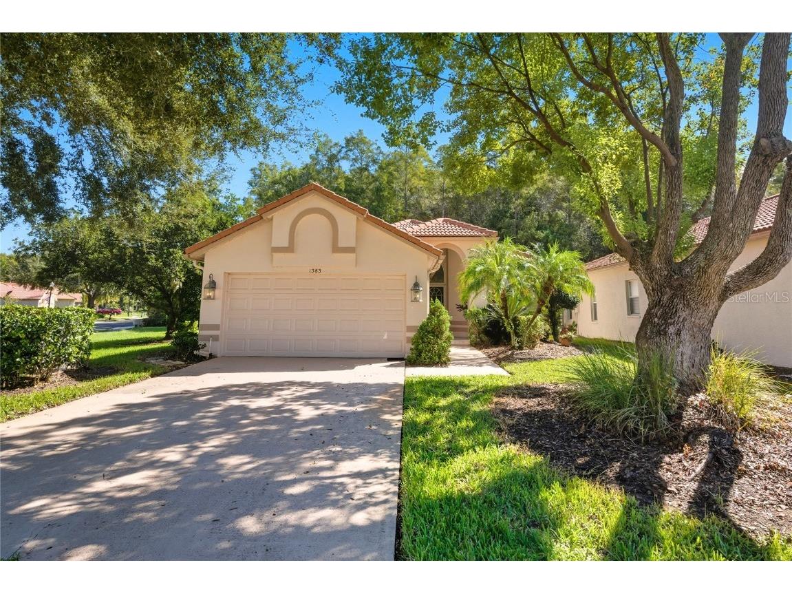 1383 Dartford Drive Tarpon Springs FL 34688 W7879041 image1