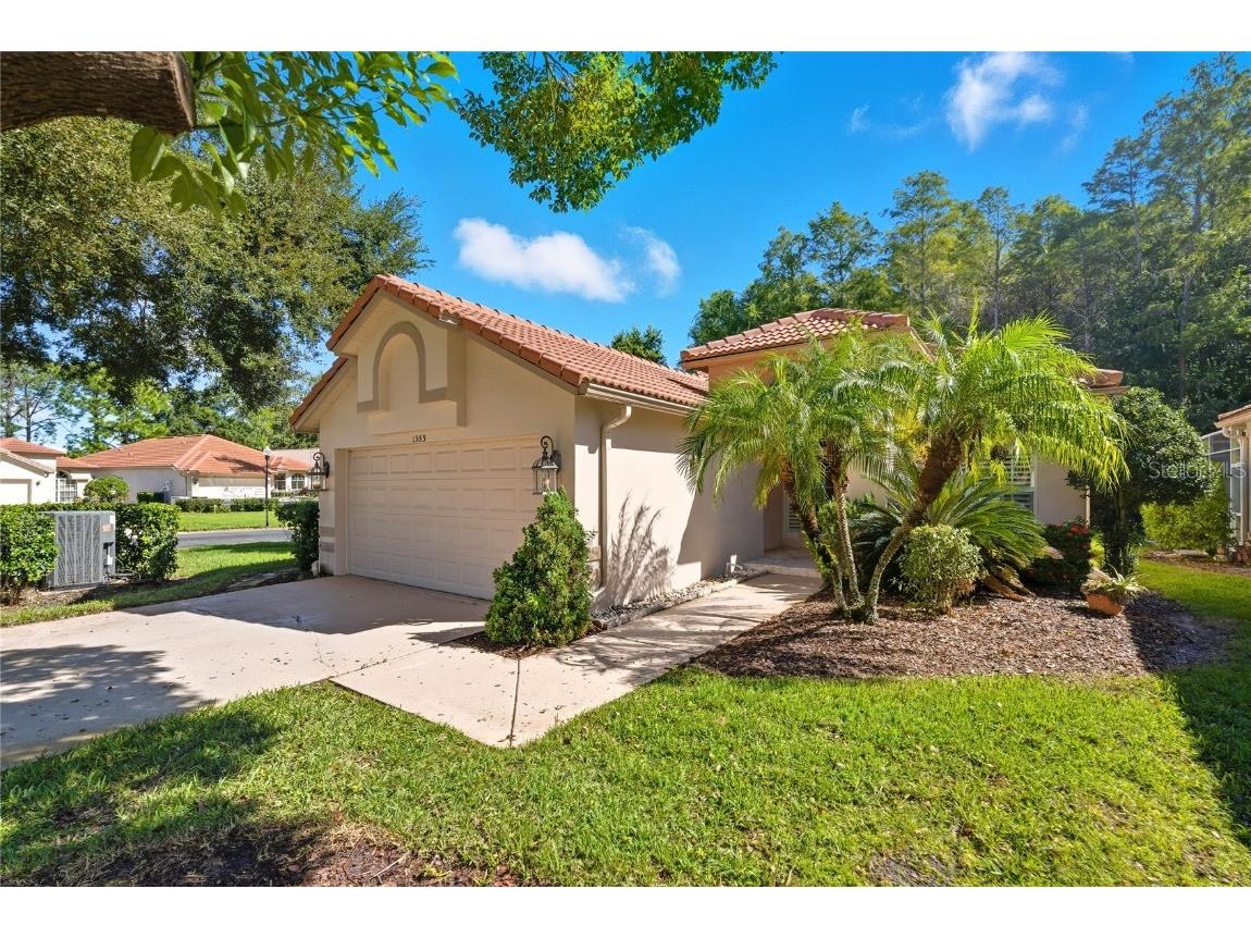1383 Dartford Drive Tarpon Springs FL 34688 W7879041 image2