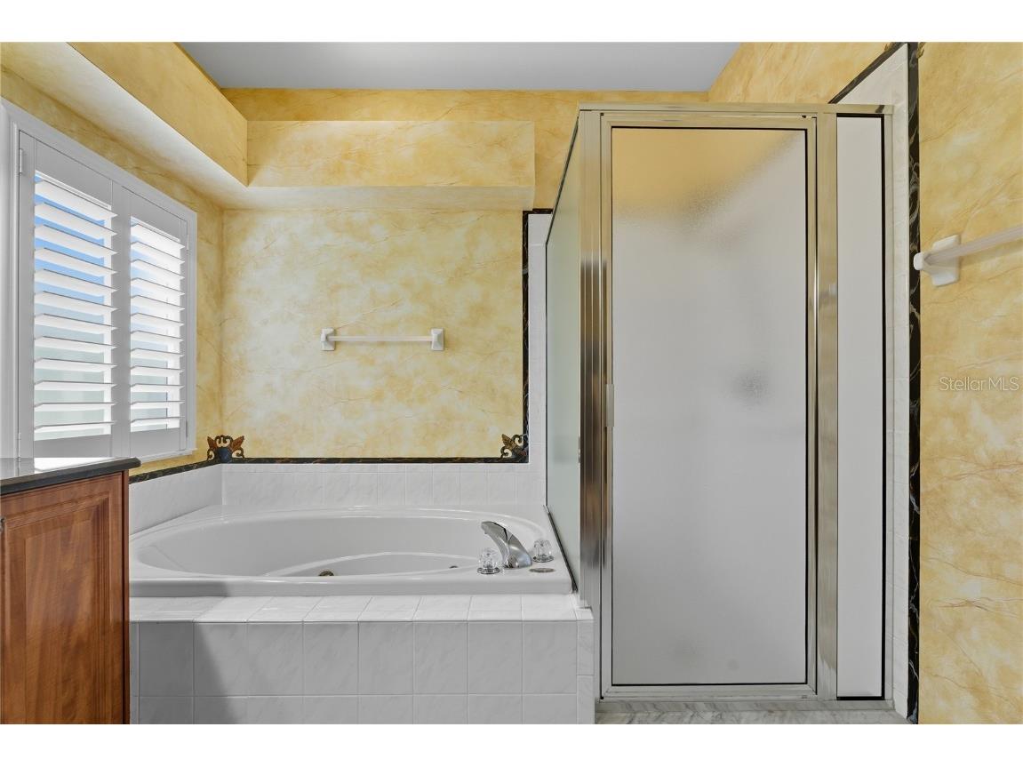 1383 Dartford Drive Tarpon Springs FL 34688 W7879041 image23