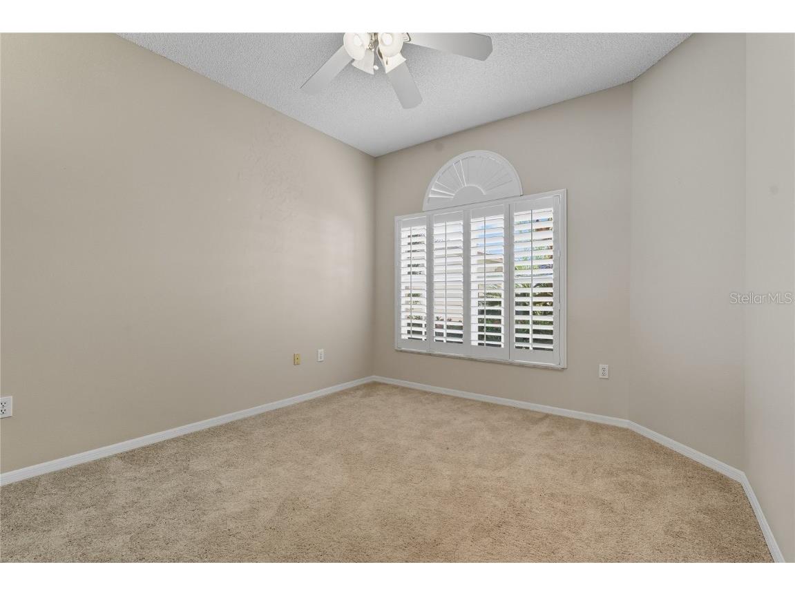 1383 Dartford Drive Tarpon Springs FL 34688 W7879041 image26