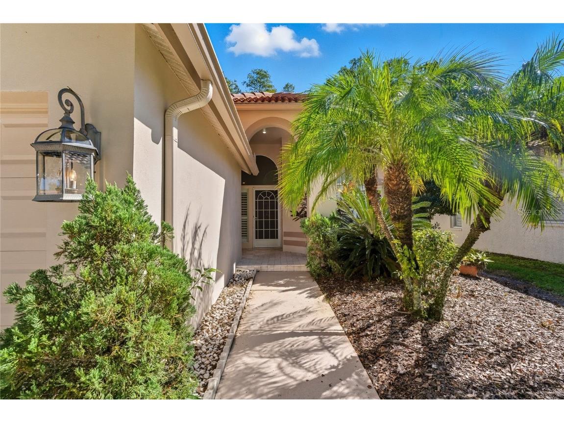 1383 Dartford Drive Tarpon Springs FL 34688 W7879041 image3