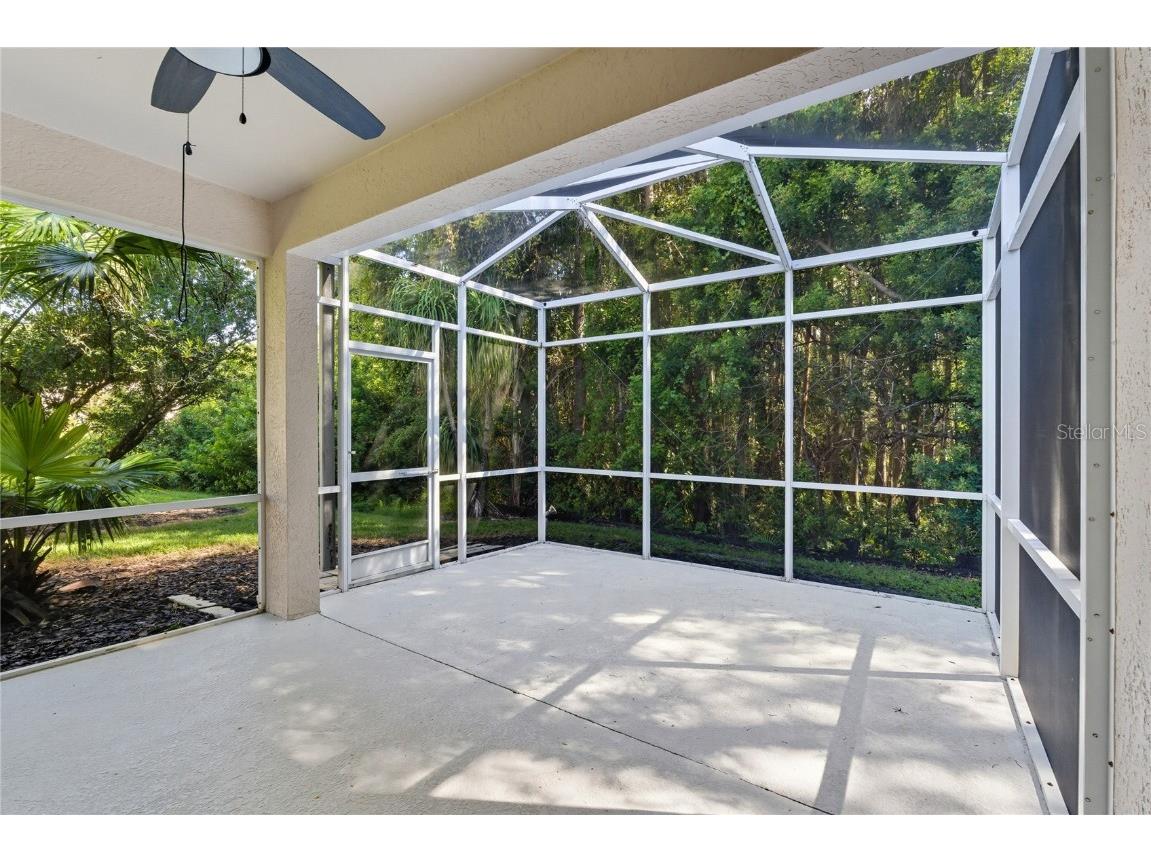 1383 Dartford Drive Tarpon Springs FL 34688 W7879041 image34