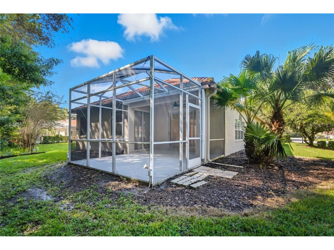 1383 Dartford Drive Tarpon Springs FL 34688 W7879041 image35