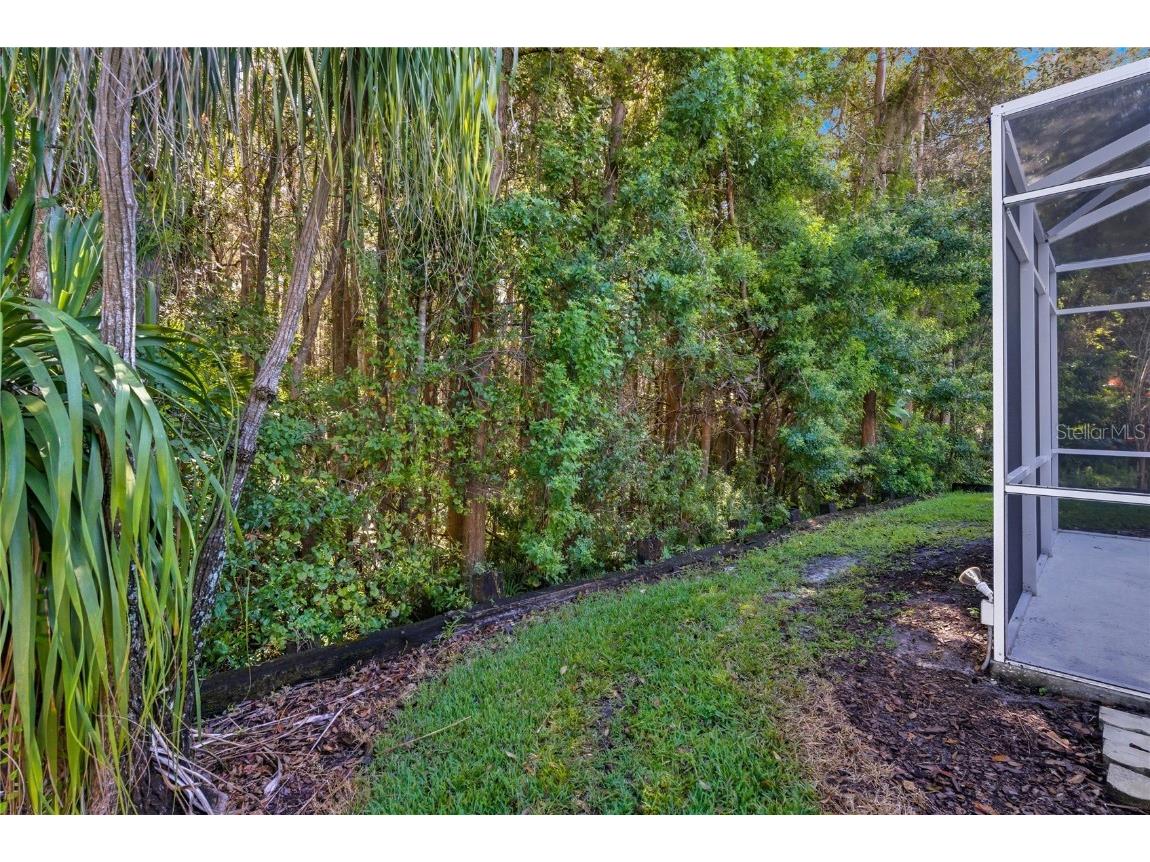 1383 Dartford Drive Tarpon Springs FL 34688 W7879041 image36