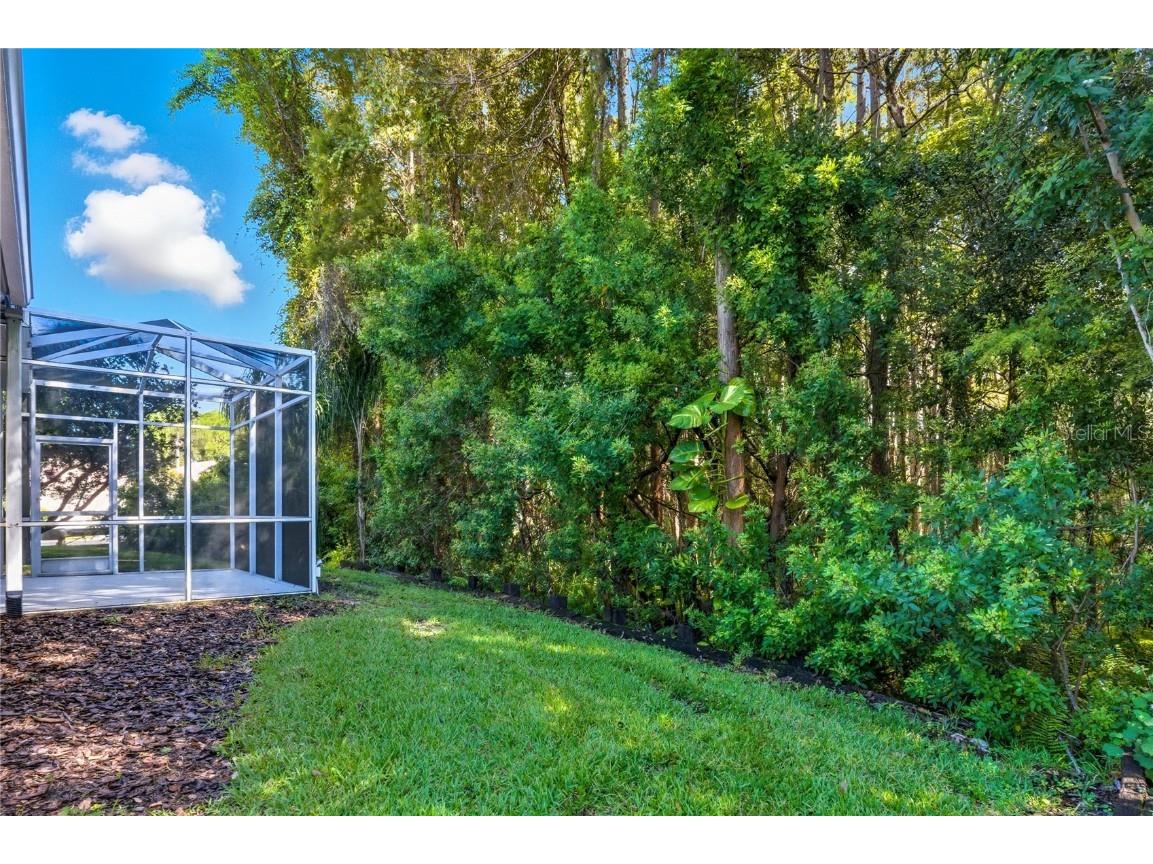 1383 Dartford Drive Tarpon Springs FL 34688 W7879041 image38