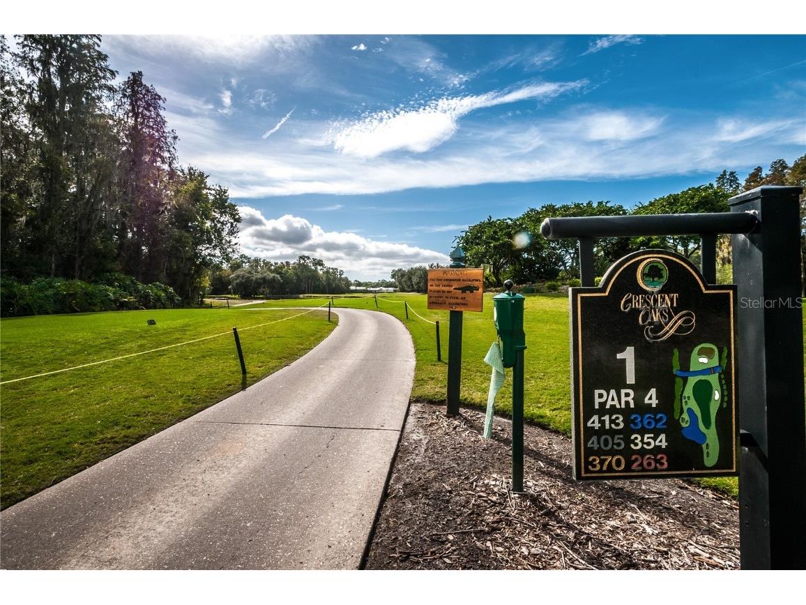 1383 Dartford Drive Tarpon Springs FL 34688 W7879041 image53