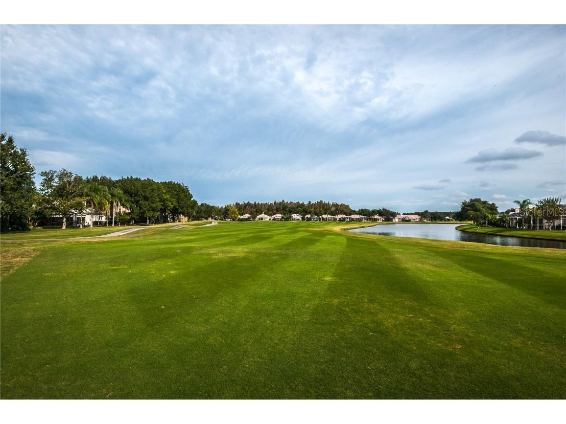 1383 Dartford Drive Tarpon Springs FL 34688 W7879041 image55