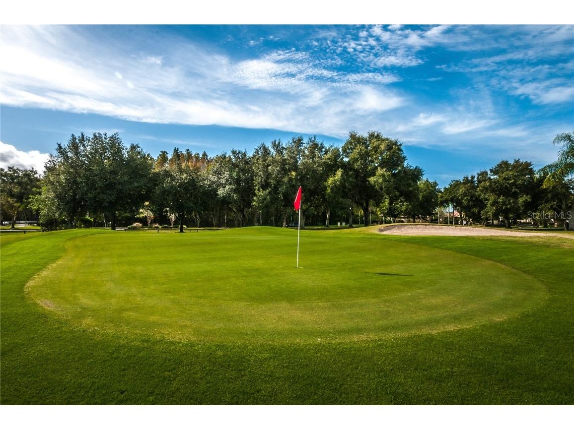 1383 Dartford Drive Tarpon Springs FL 34688 W7879041 image56