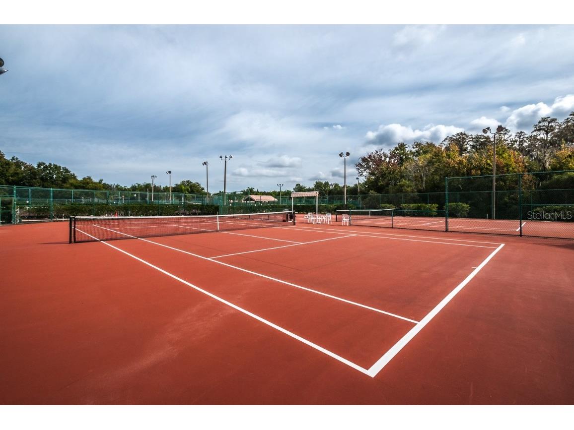 1383 Dartford Drive Tarpon Springs FL 34688 W7879041 image58