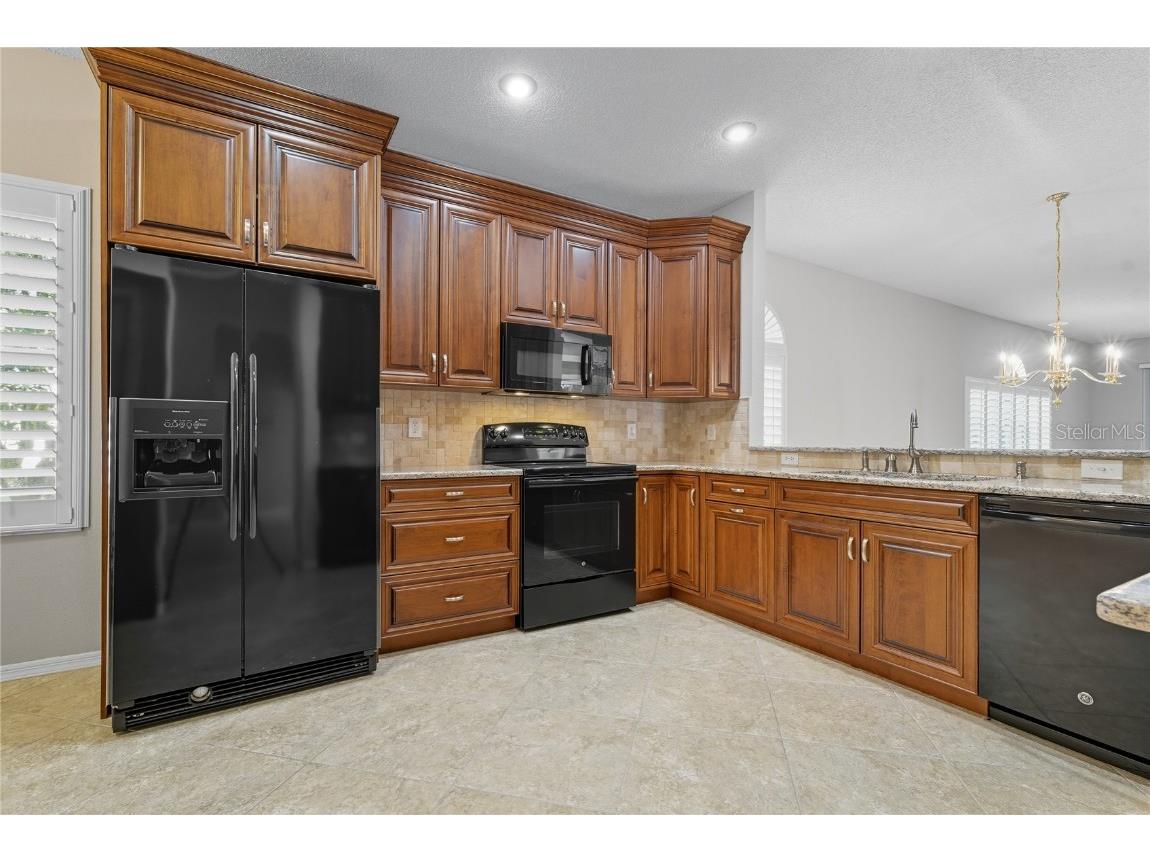 1383 Dartford Drive Tarpon Springs FL 34688 W7879041 image7