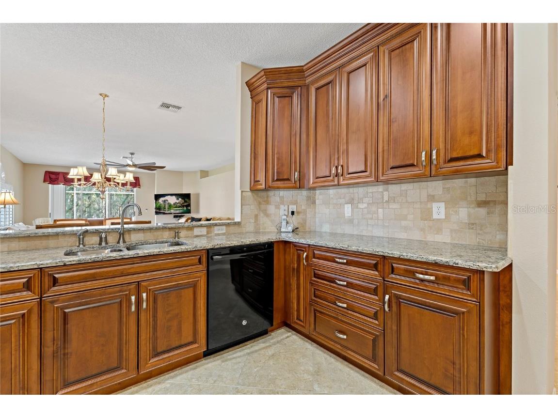 1383 Dartford Drive Tarpon Springs FL 34688 W7879041 image8
