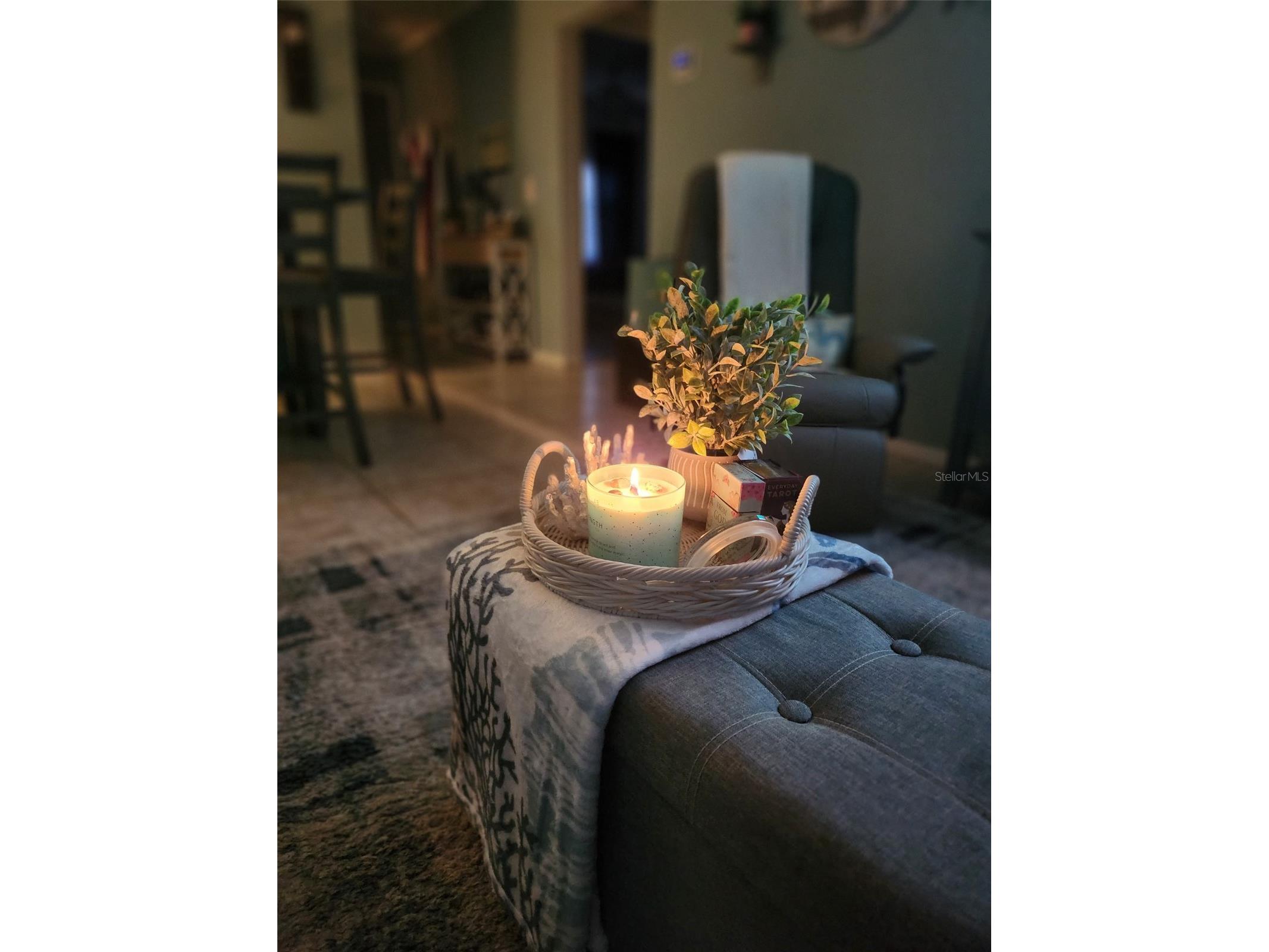 13830 Mission Oaks Boulevard #13830 Seminole FL 33776 TB8514533 image25