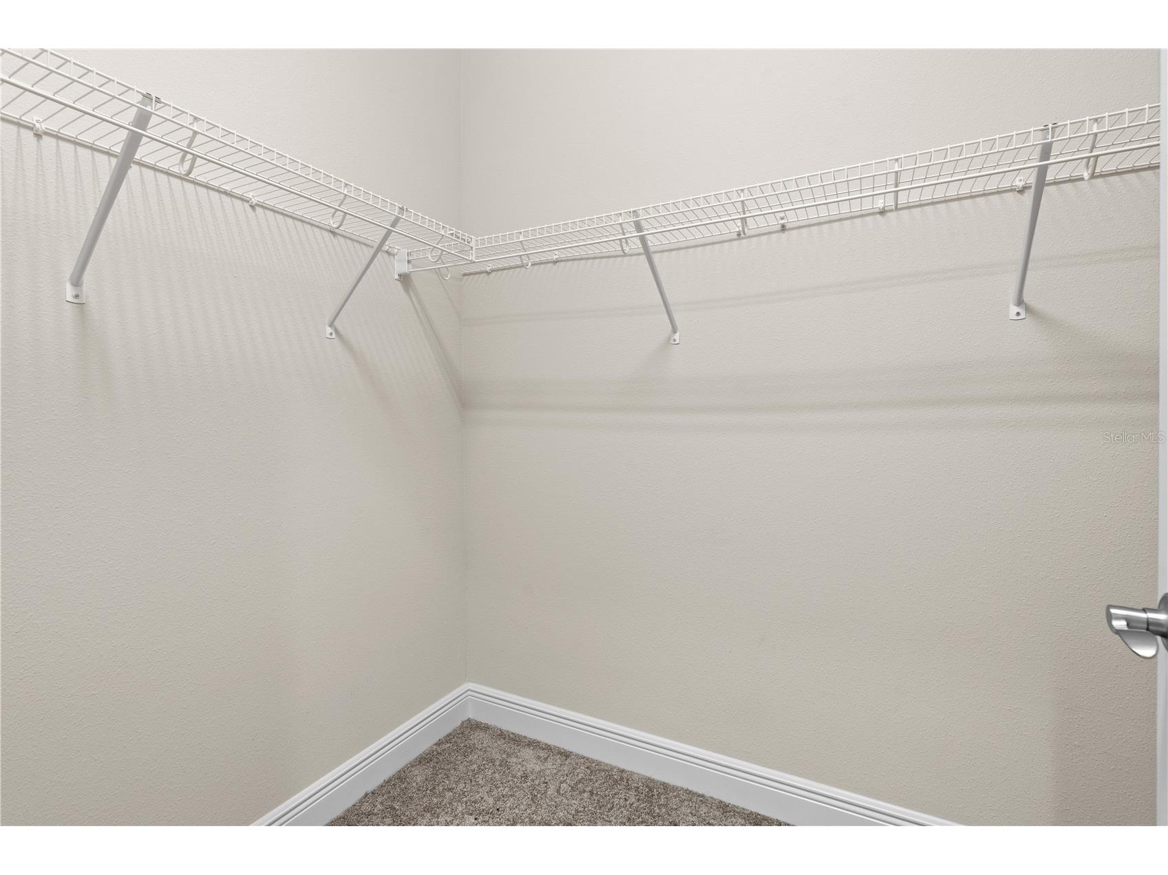 13830 Moonstone Canyon Drive Riverview FL 33579 TB8498990 image26