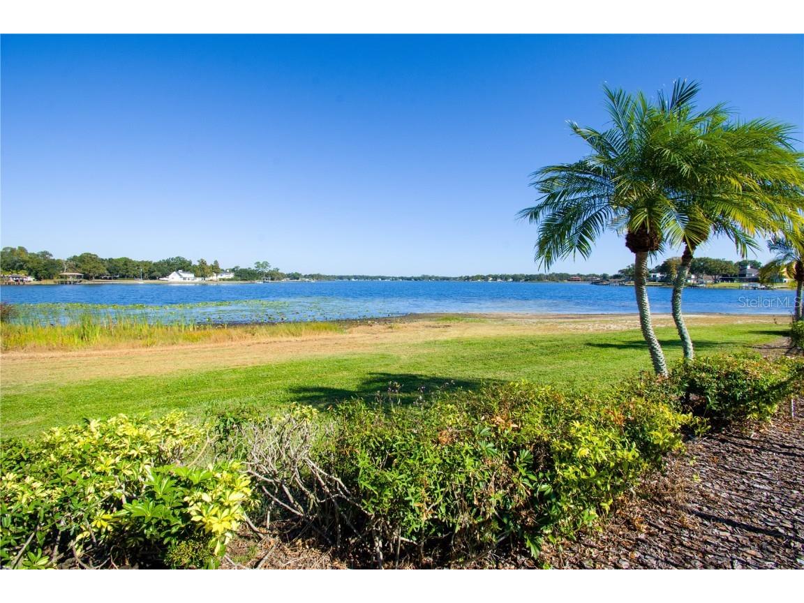 13830 Orange Sunset Drive #202 Tampa FL 33618 TB8449081 image23