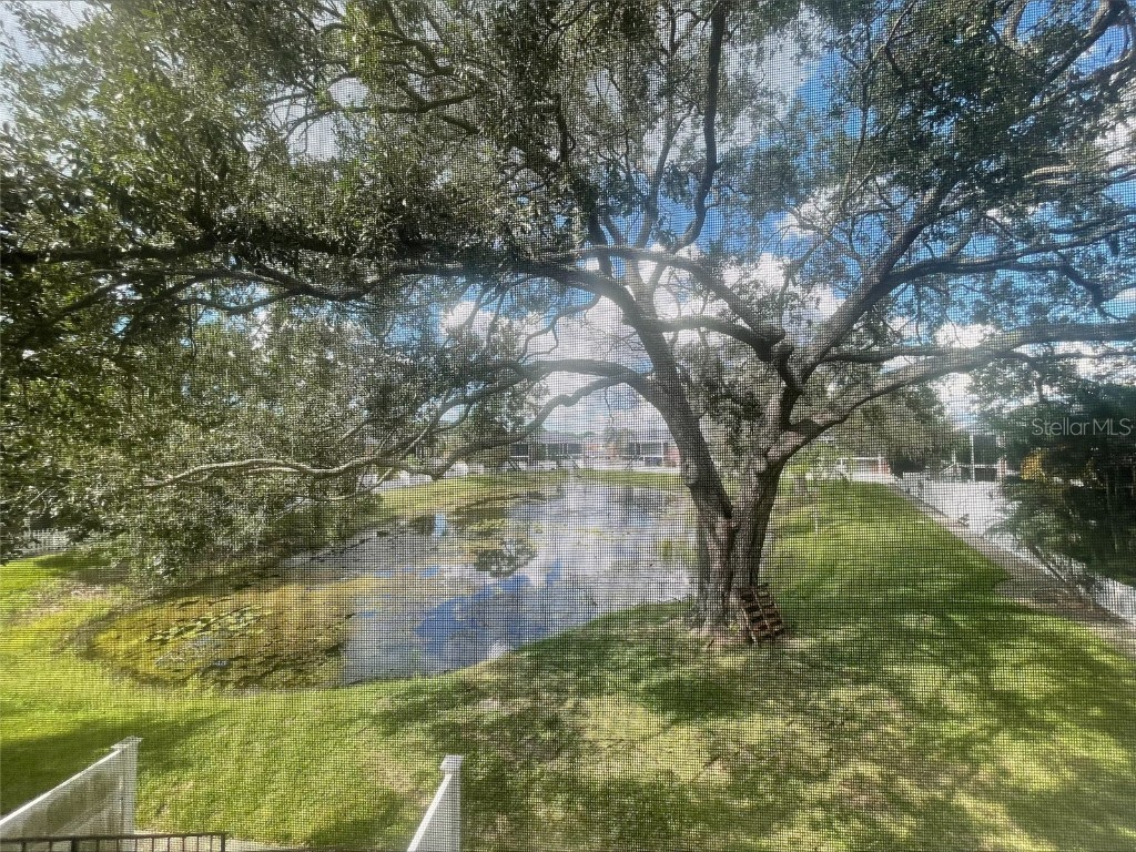 13831 Orange Sunset Drive #201 Tampa FL 33618 TB8430821 image19