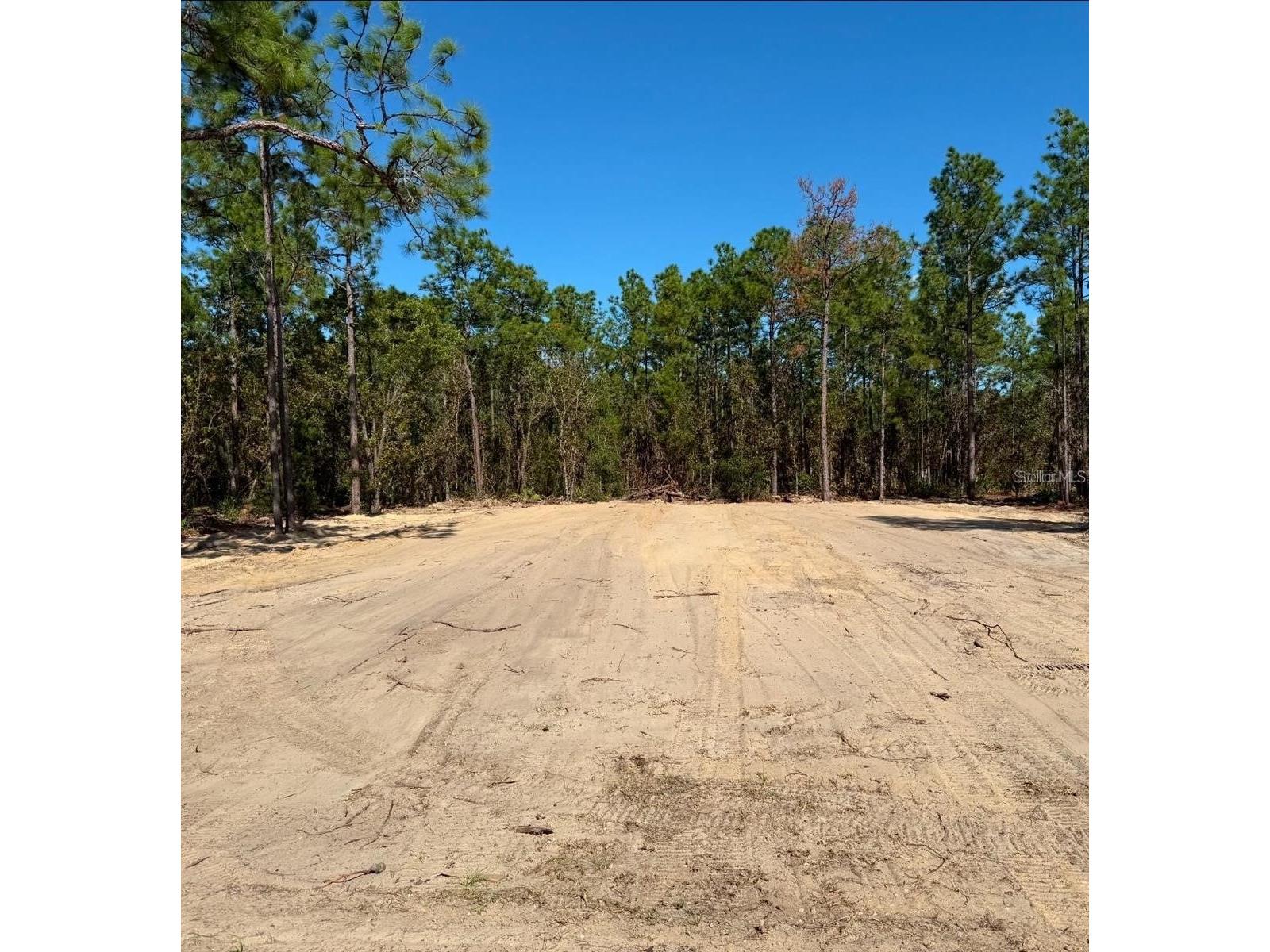 13831 SW 89th Circle Ocala FL 34473 S5150895 image1