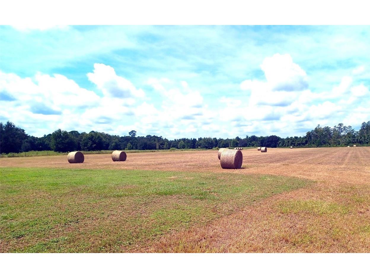 13832 Bay Lake Road Groveland FL 34736 G5104645 image51