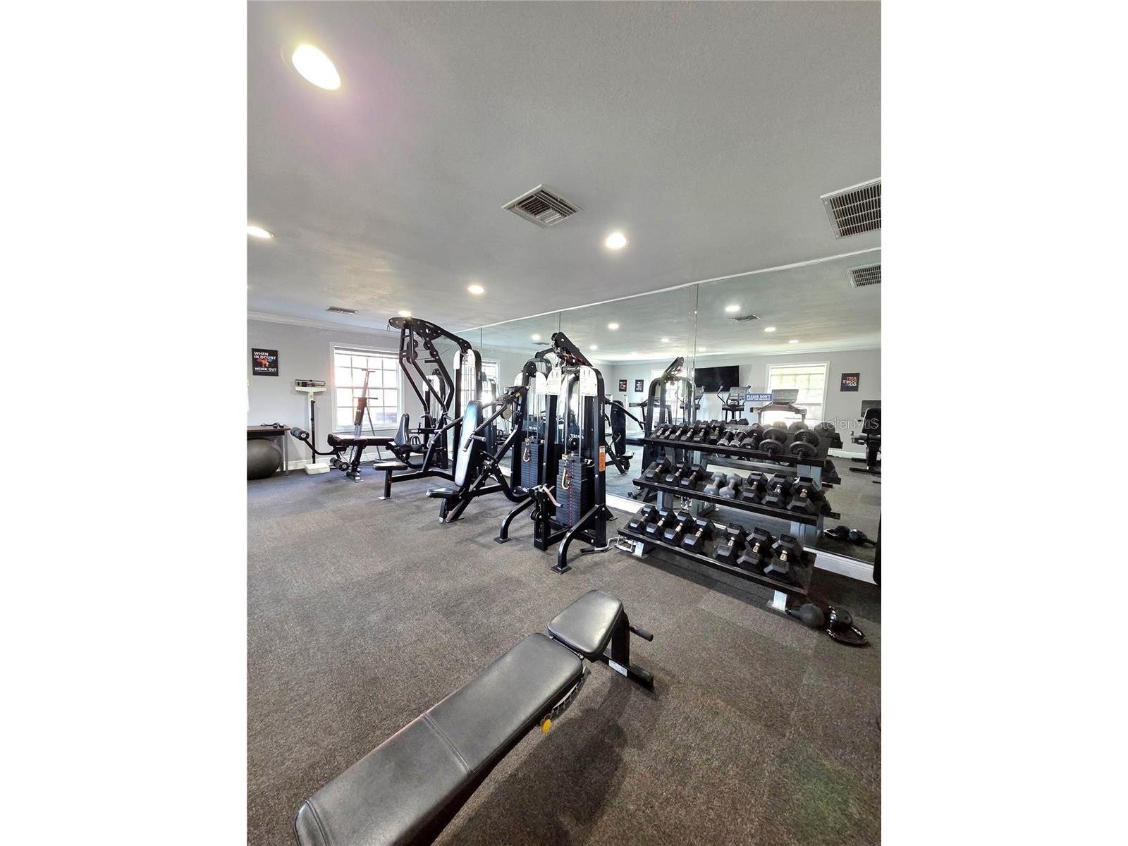 13832 Orange Sunset Drive #202 Tampa FL 33618 TB8507338 image25