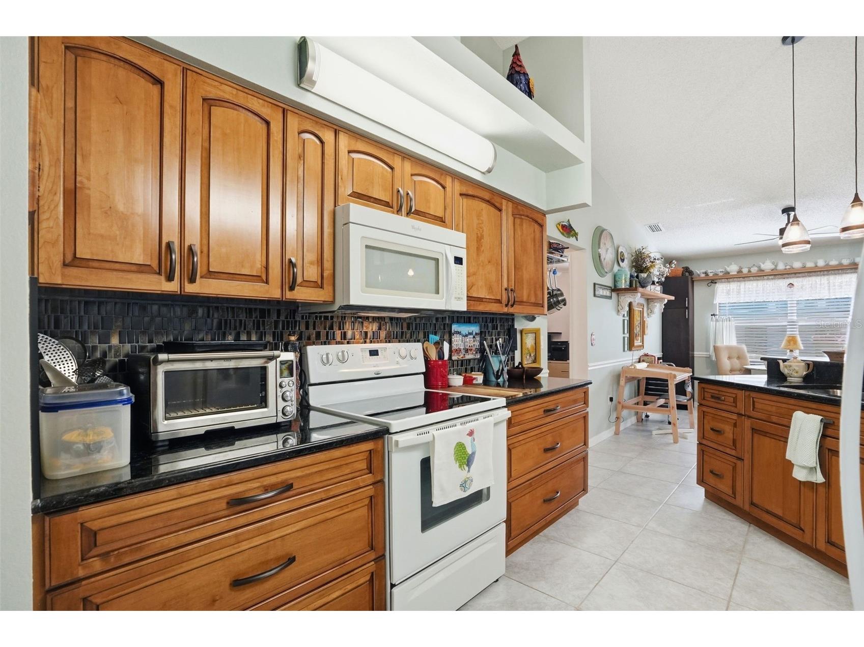 13832 Stoneridge Drive Hudson FL 34669 TB8501697 image16