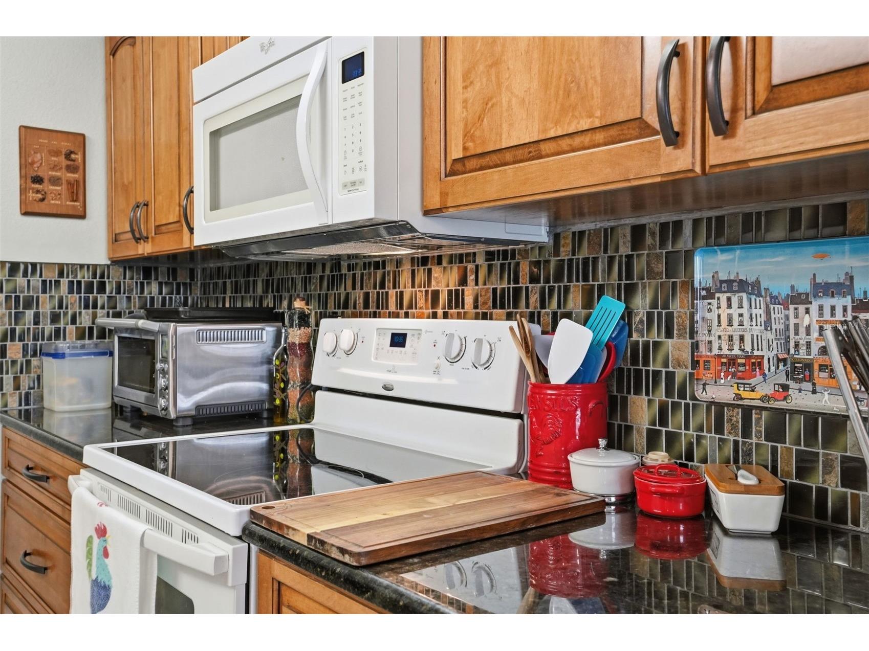 13832 Stoneridge Drive Hudson FL 34669 TB8501697 image18