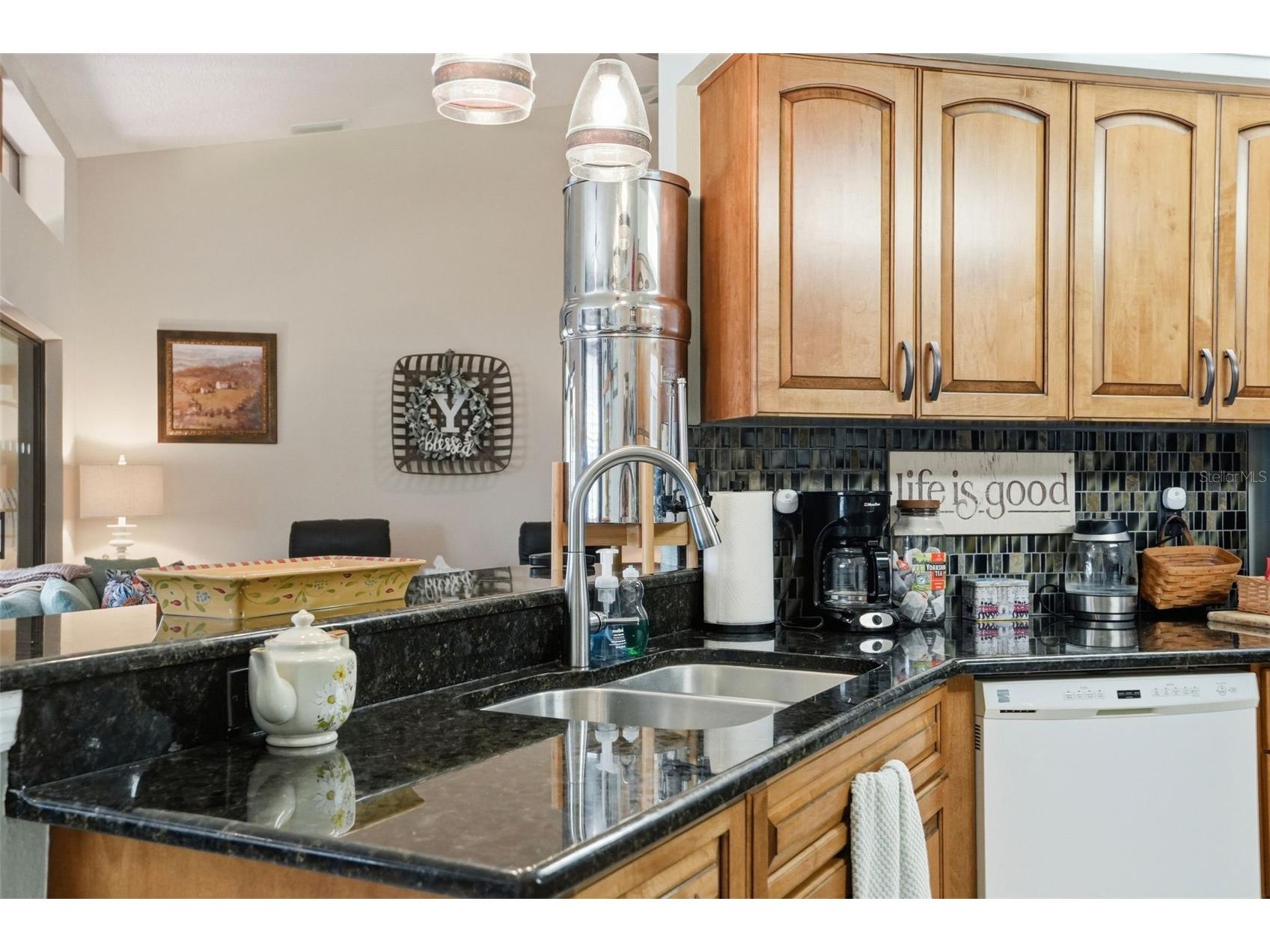 13832 Stoneridge Drive Hudson FL 34669 TB8501697 image19