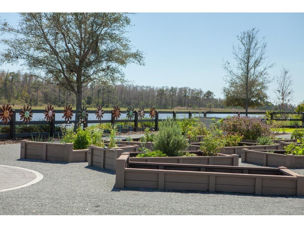 13833 Behring Avenue Orlando FL 32827 O6384095 image86