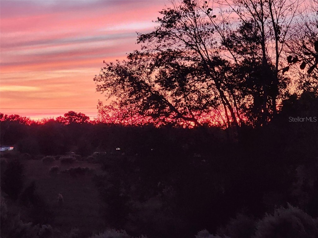 13835 SE 85th Circle Summerfield FL 34491 OM714747 image38