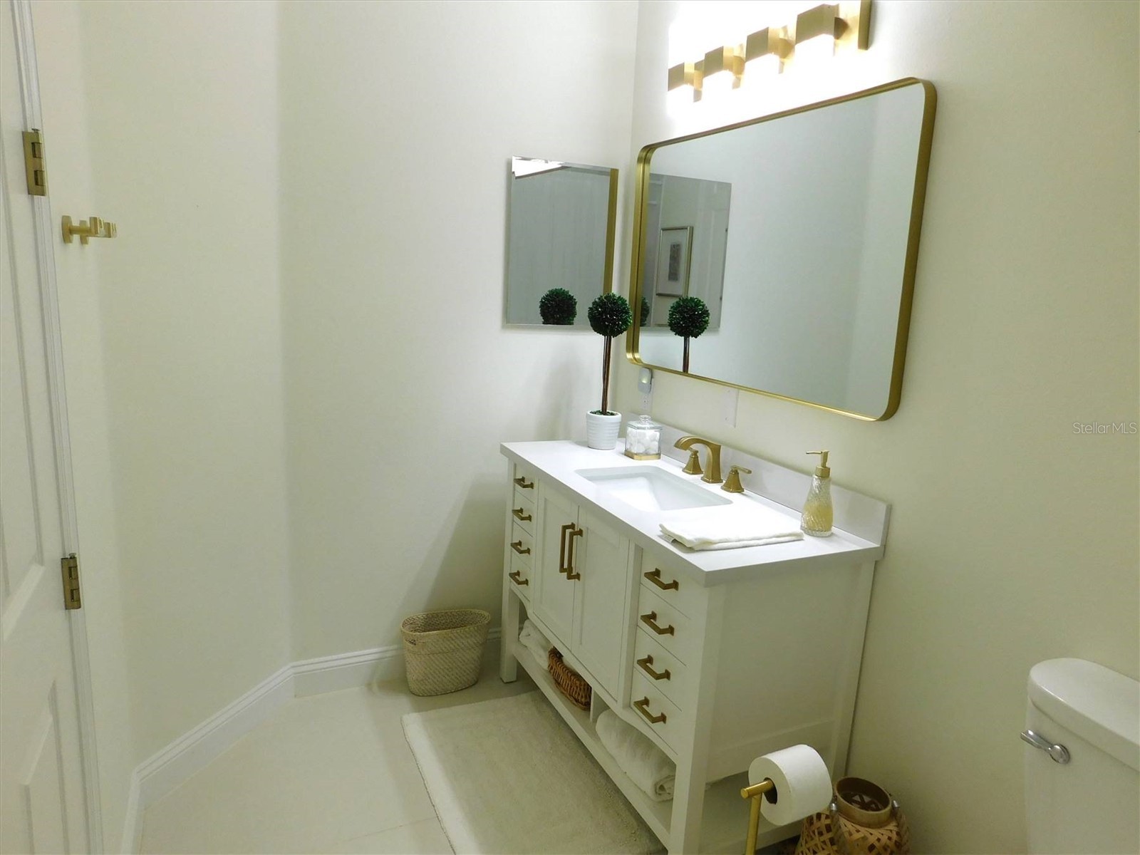 13836 Bluebird Pond Road Windermere FL 34786 TB8502779 image22