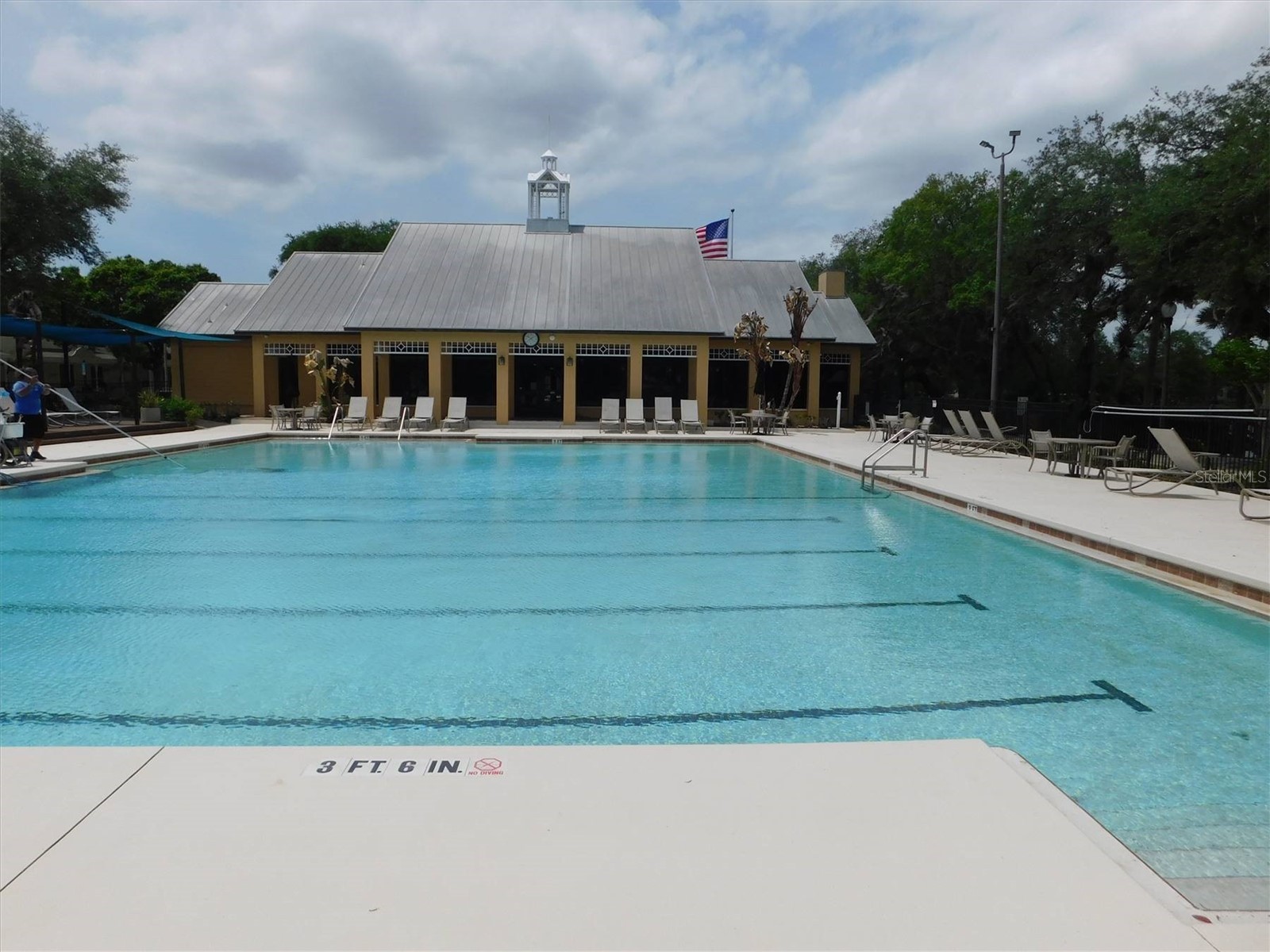 13836 Bluebird Pond Road Windermere FL 34786 TB8502779 image27
