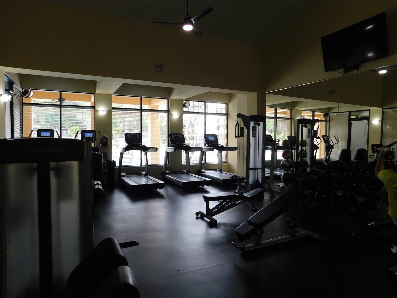 13836 Bluebird Pond Road Windermere FL 34786 TB8502779 image28