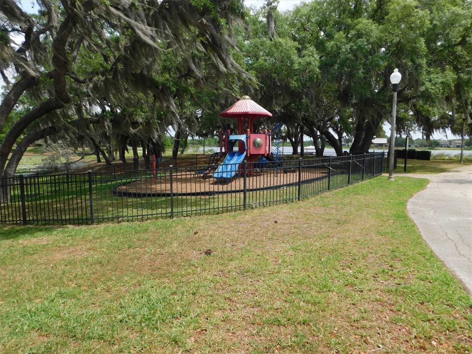 13836 Bluebird Pond Road Windermere FL 34786 TB8502779 image29
