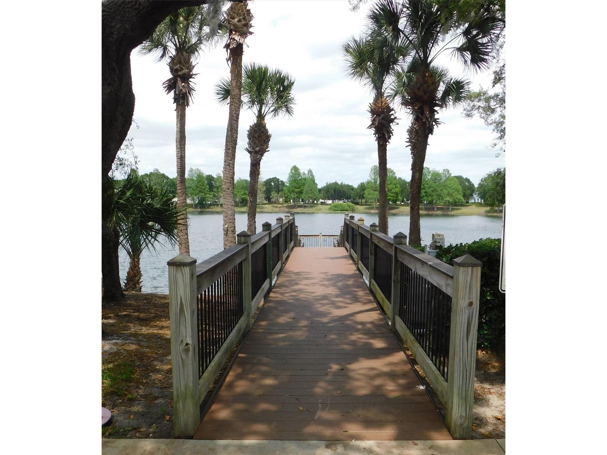 13836 Bluebird Pond Road Windermere FL 34786 TB8502779 image30