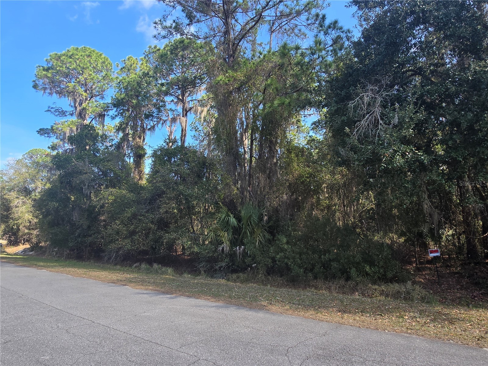 13837 SE 201st Terrace Hawthorne FL 32640 - LAKE LOCHLOOSE OM719283 image2