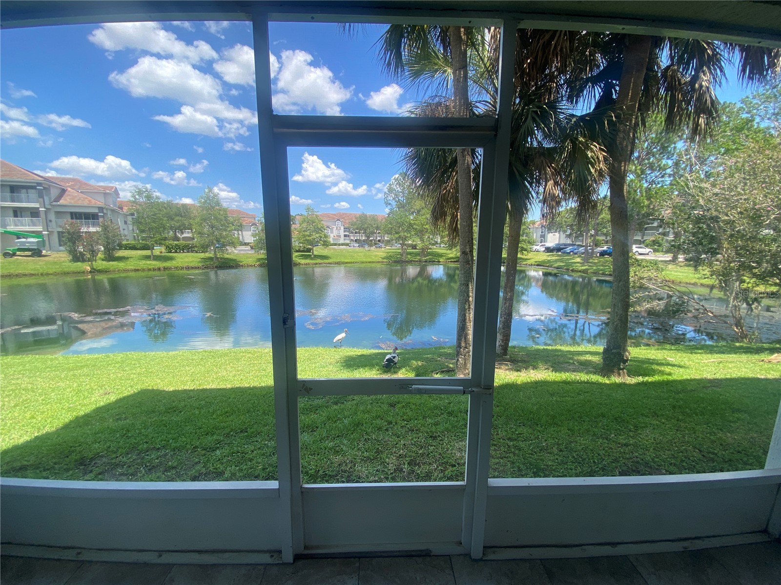 13838 Fairway Island Drive #1413 Orlando FL 32837 S5152553 image28