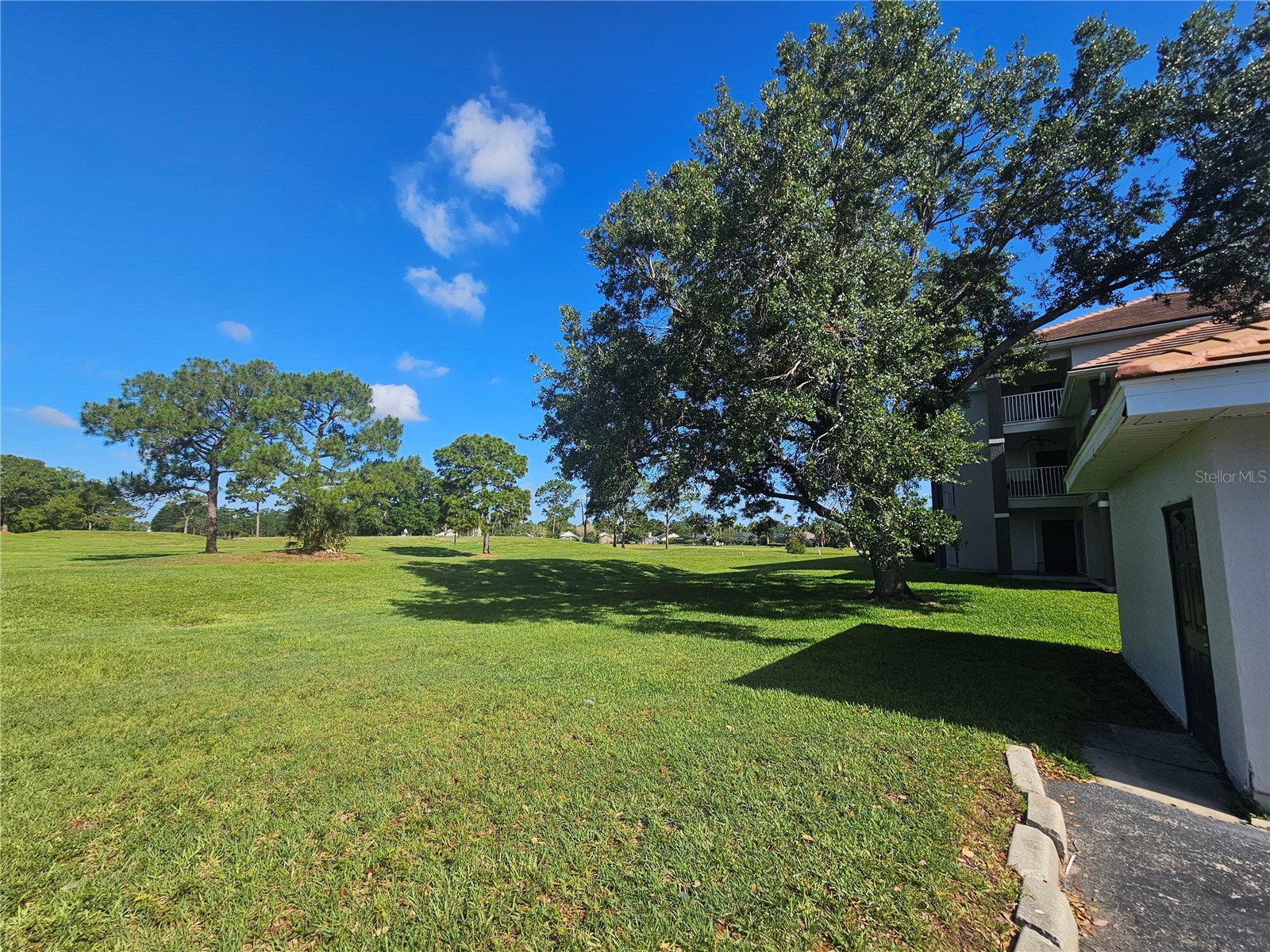 13838 Fairway Island Drive #1418 Orlando FL 32837 S5148602 image11