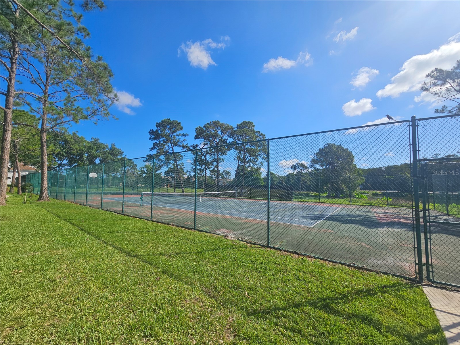 13838 Fairway Island Drive #1418 Orlando FL 32837 S5148602 image9