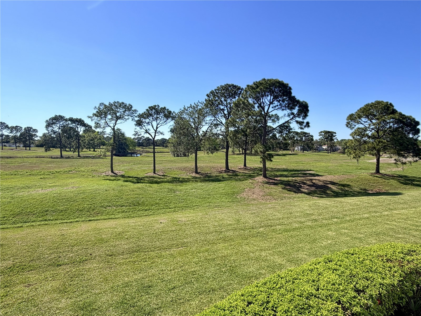 13839 Fairway Island Drive #1124 Orlando FL 32837 O6393482 image13