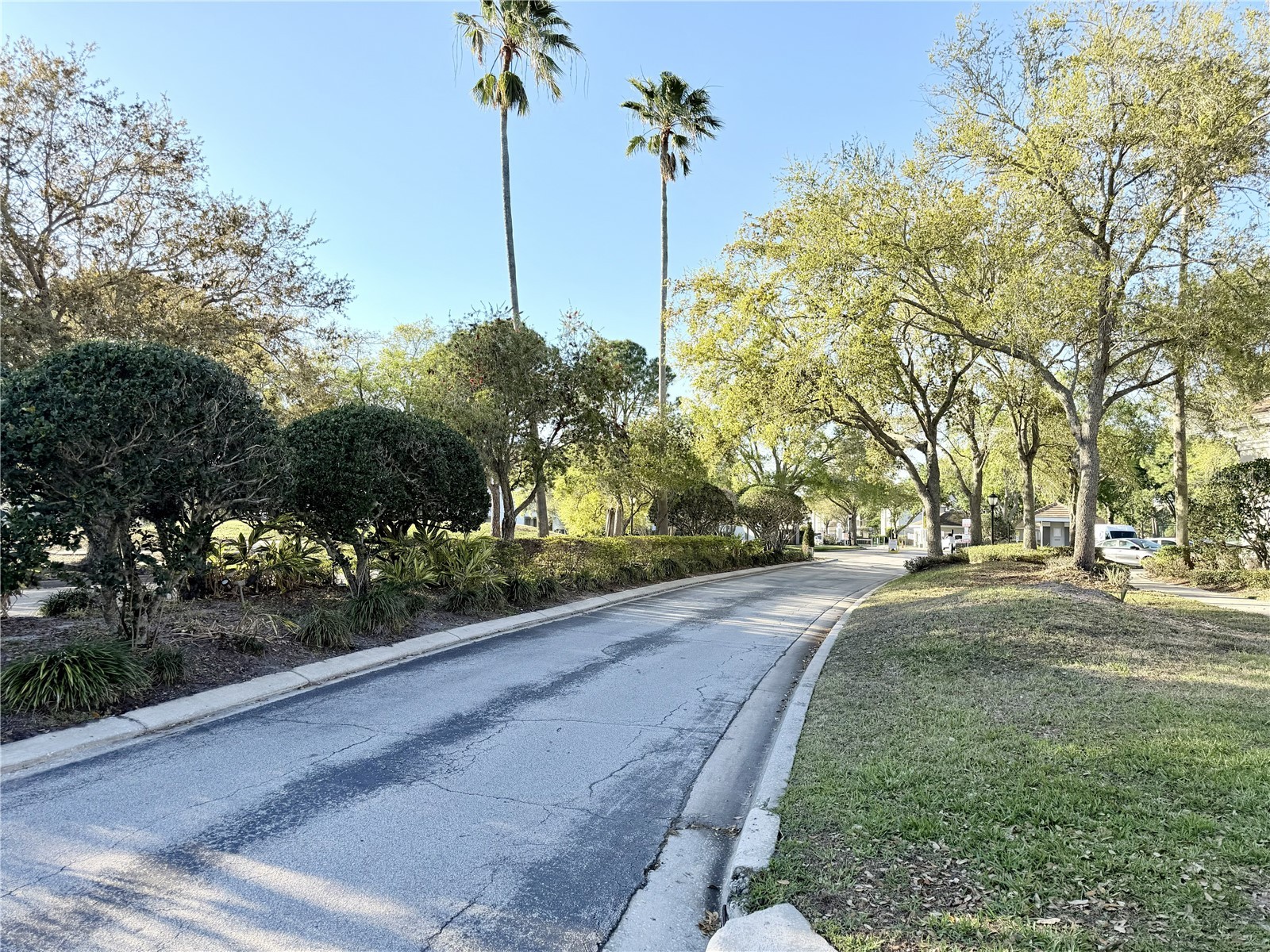 13839 Fairway Island Drive #1124 Orlando FL 32837 O6393482 image33