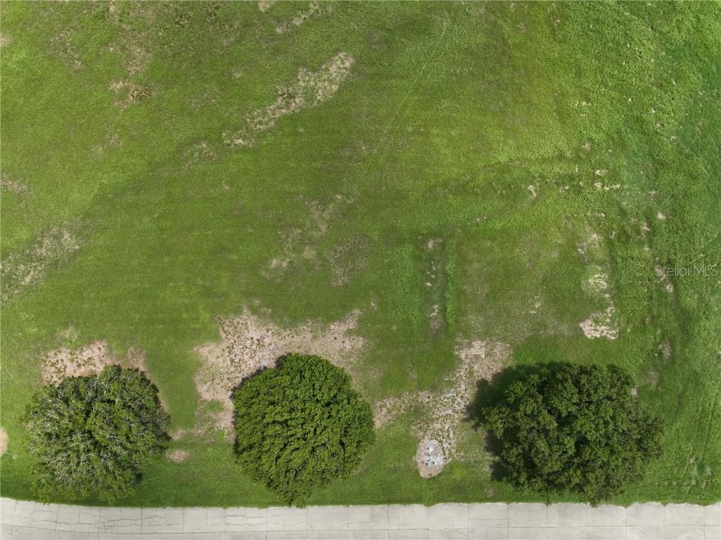 1384 Blue Heron Drive Sebring FL 33876 O6235736 image1