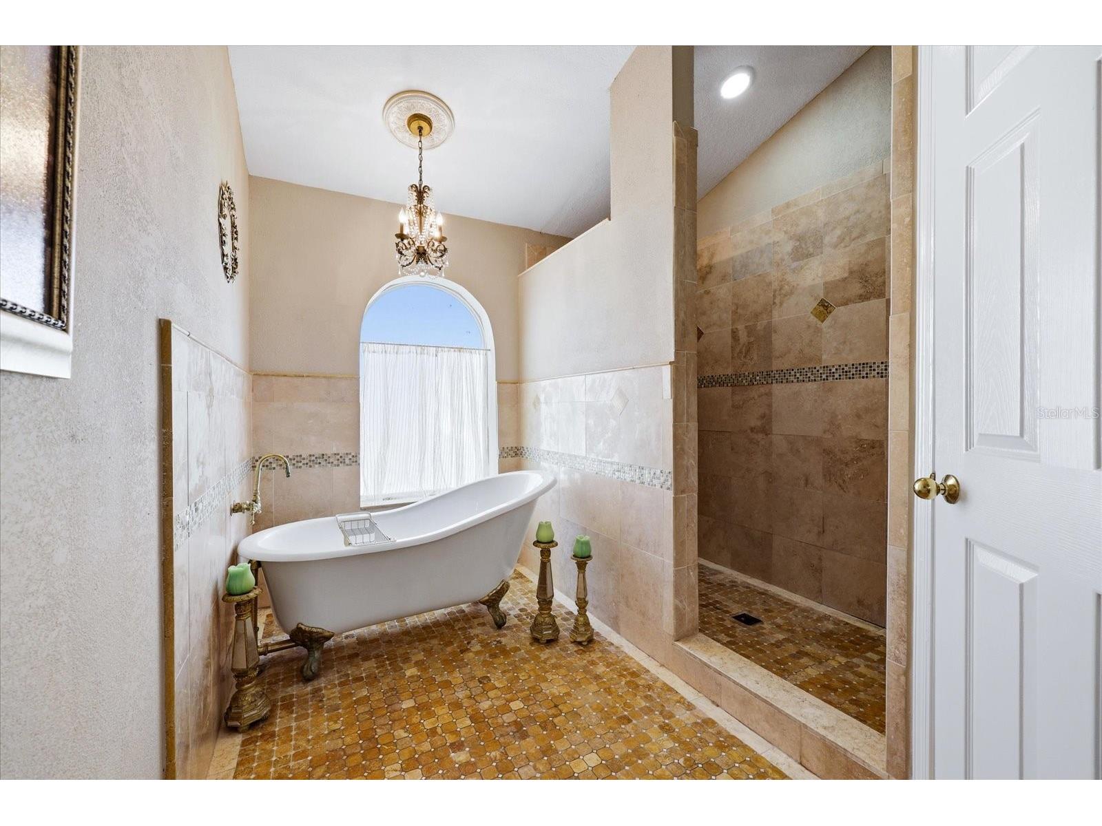1384 Forestedge Boulevard Oldsmar FL 34677 TB8490510 image10