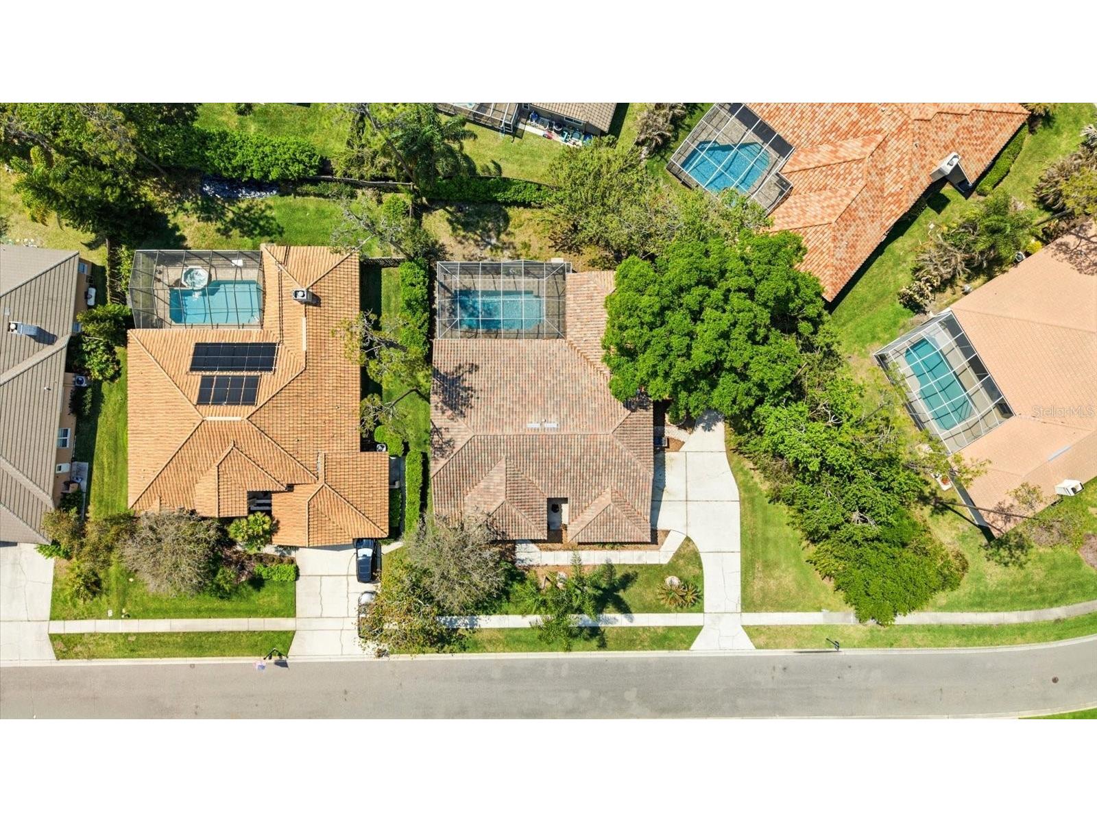 1384 Forestedge Boulevard Oldsmar FL 34677 TB8490510 image41
