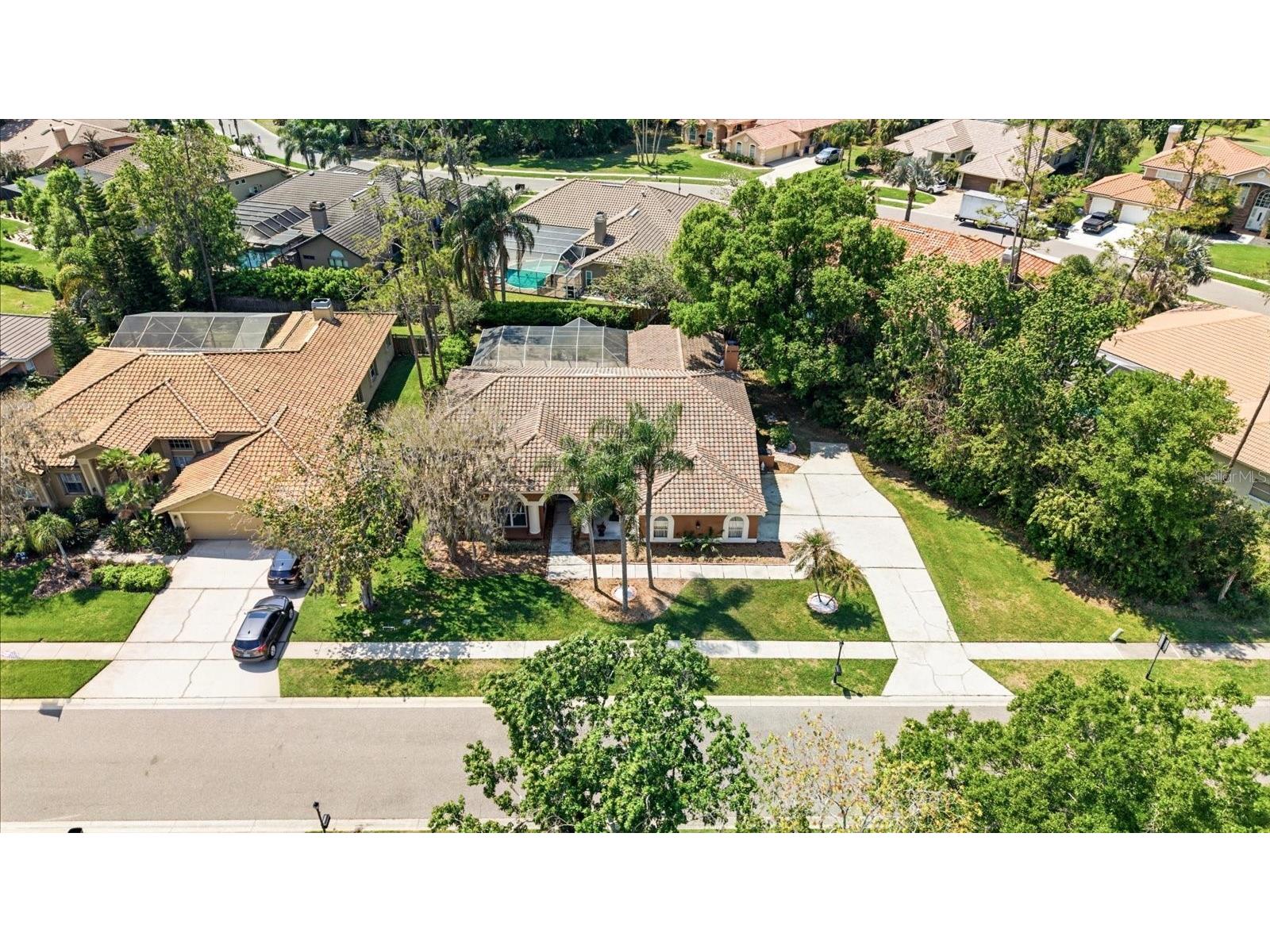 1384 Forestedge Boulevard Oldsmar FL 34677 TB8490510 image42