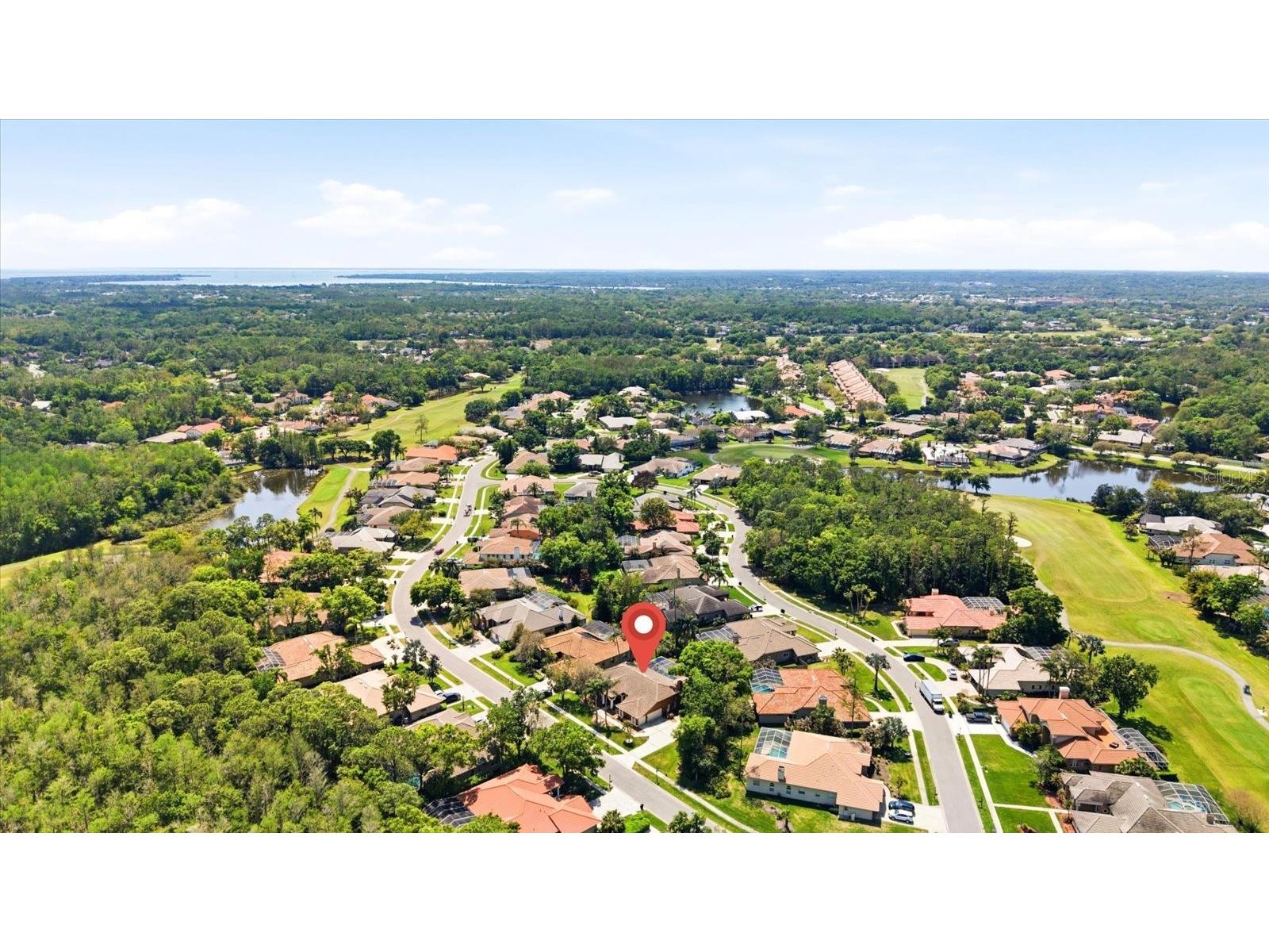 1384 Forestedge Boulevard Oldsmar FL 34677 TB8490510 image44