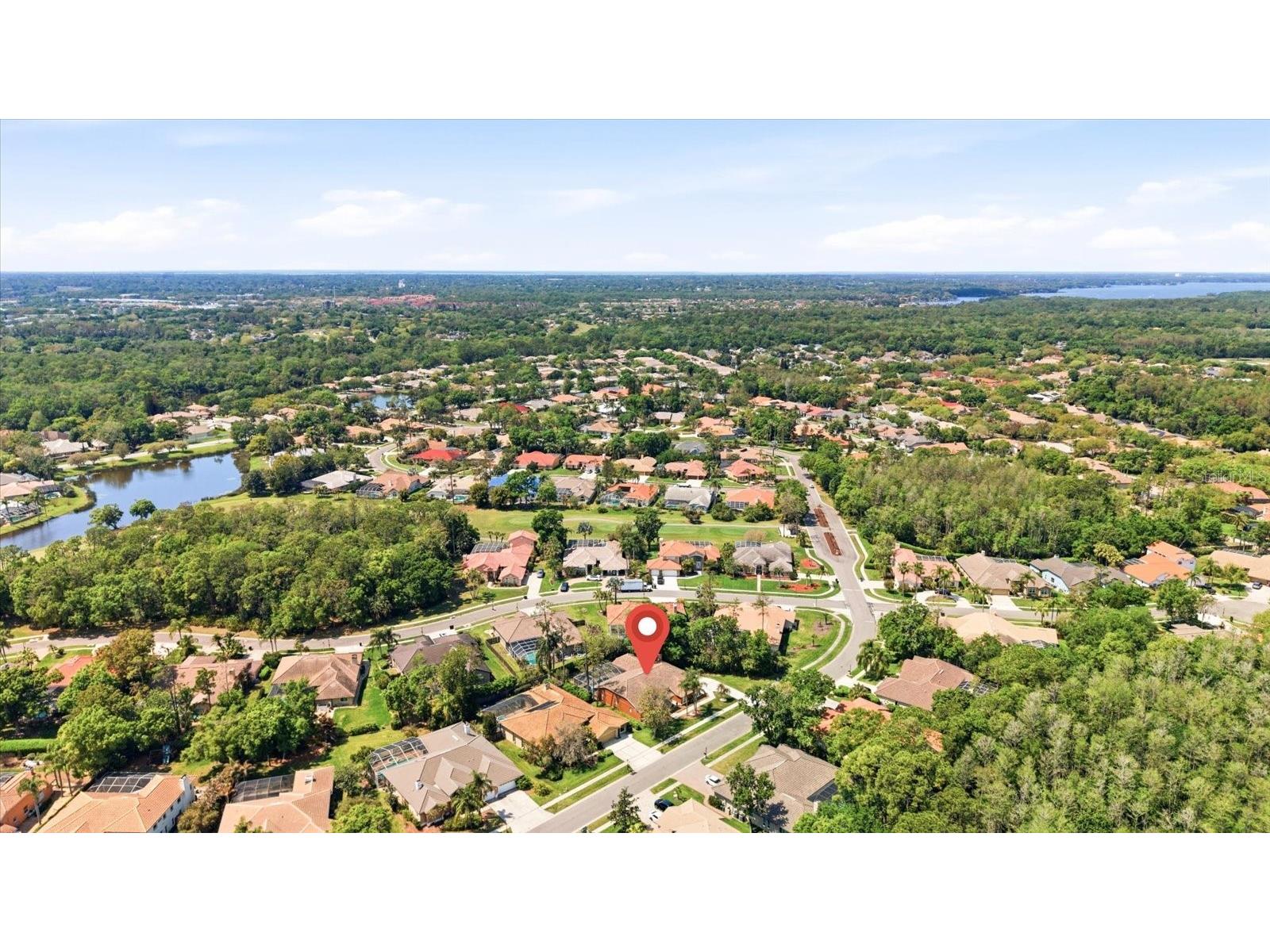 1384 Forestedge Boulevard Oldsmar FL 34677 TB8490510 image45