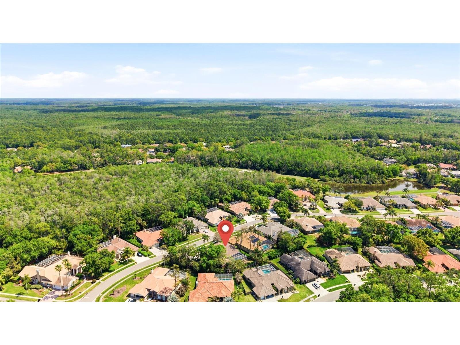 1384 Forestedge Boulevard Oldsmar FL 34677 TB8490510 image46