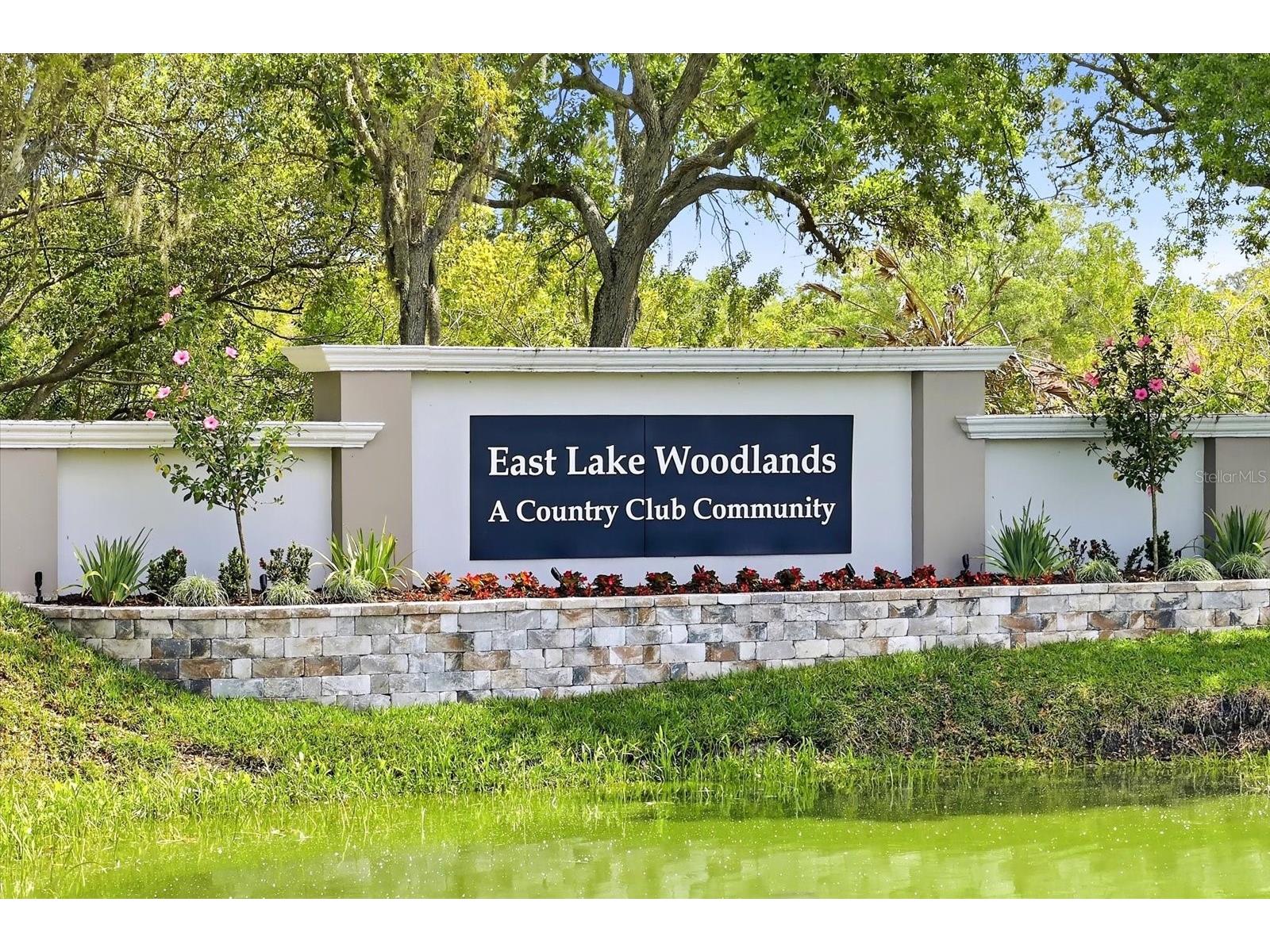 1384 Forestedge Boulevard Oldsmar FL 34677 TB8490510 image47