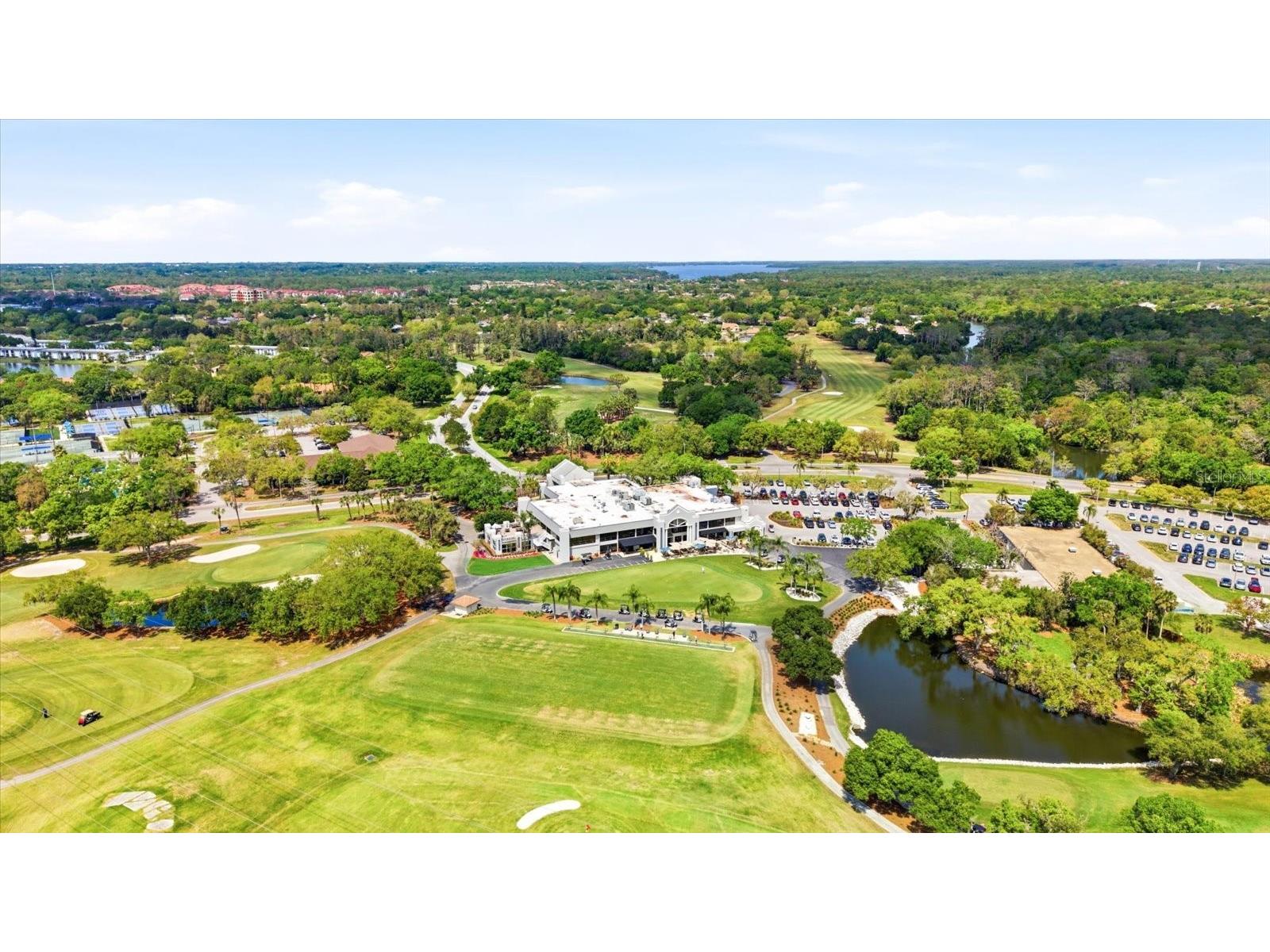 1384 Forestedge Boulevard Oldsmar FL 34677 TB8490510 image48