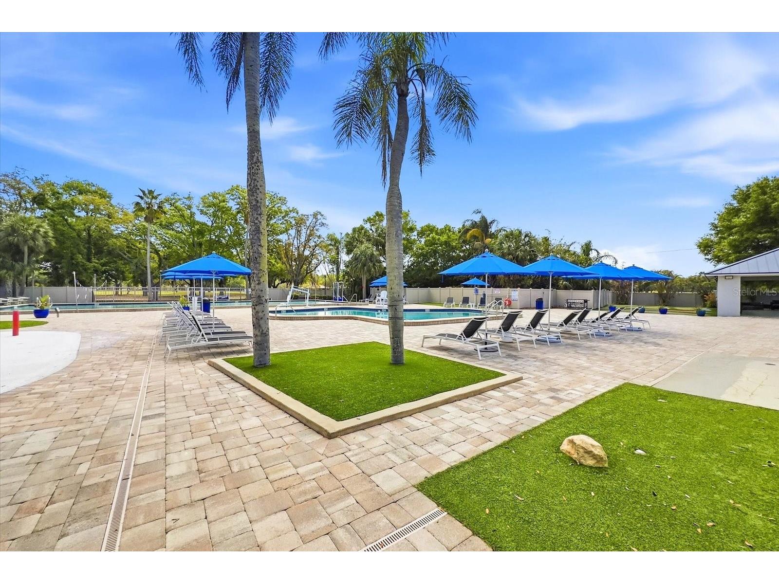 1384 Forestedge Boulevard Oldsmar FL 34677 TB8490510 image53