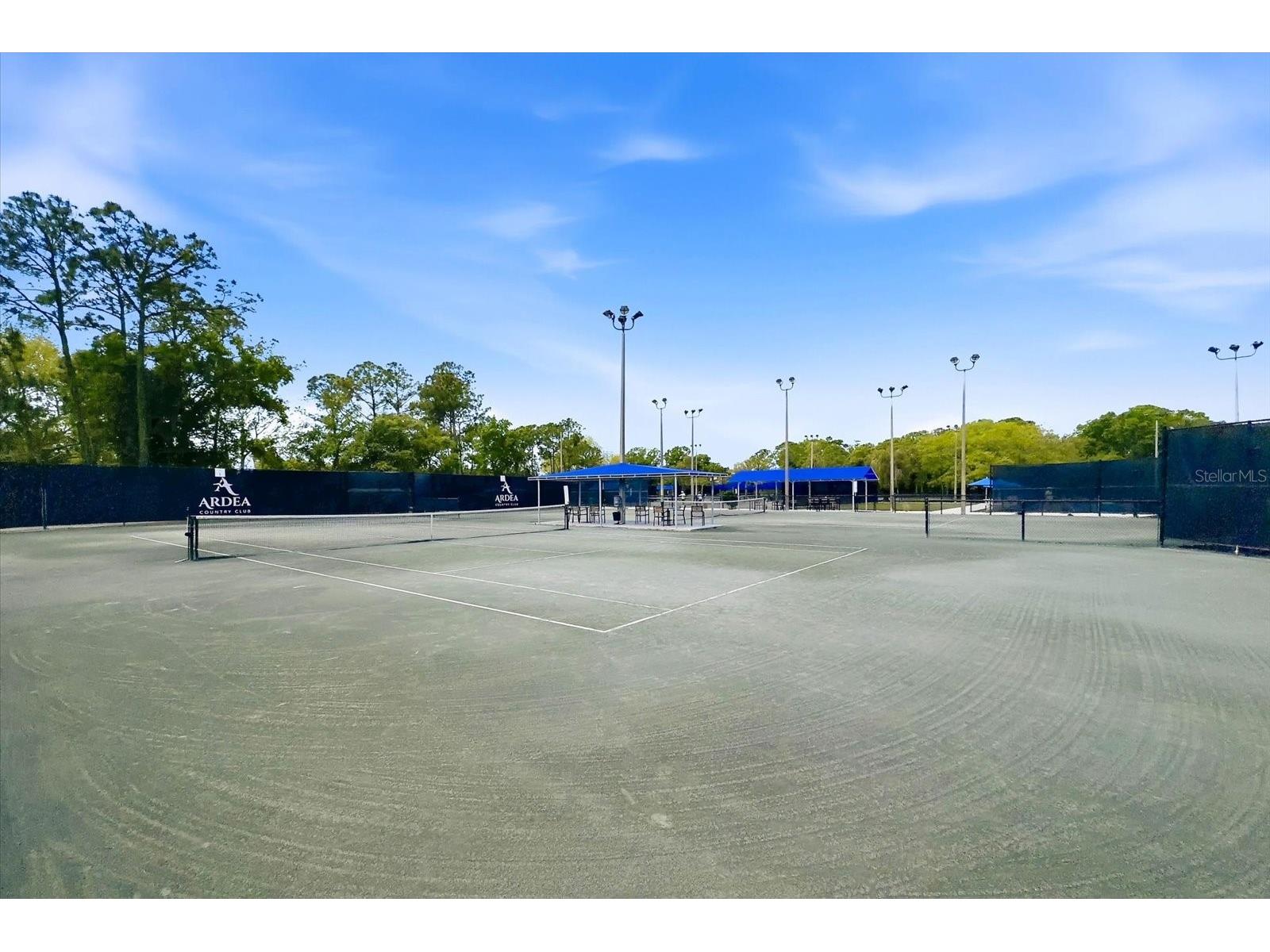 1384 Forestedge Boulevard Oldsmar FL 34677 TB8490510 image56