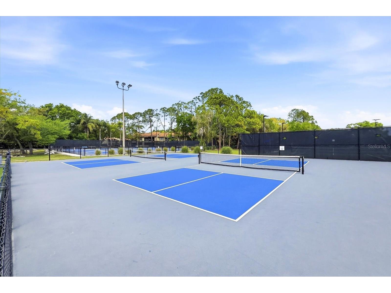 1384 Forestedge Boulevard Oldsmar FL 34677 TB8490510 image57